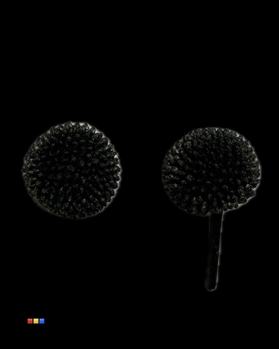 Срезанные цветы оптом Craspedia paint black от 100шт из Голландии с доставкой по России