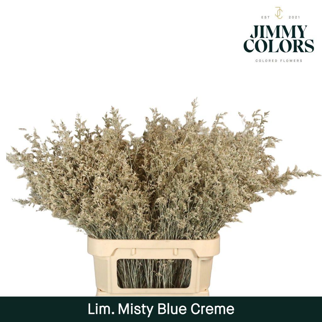 Срезанные цветы оптом Limonium misty blue paint creme от 50шт из Голландии с доставкой по России