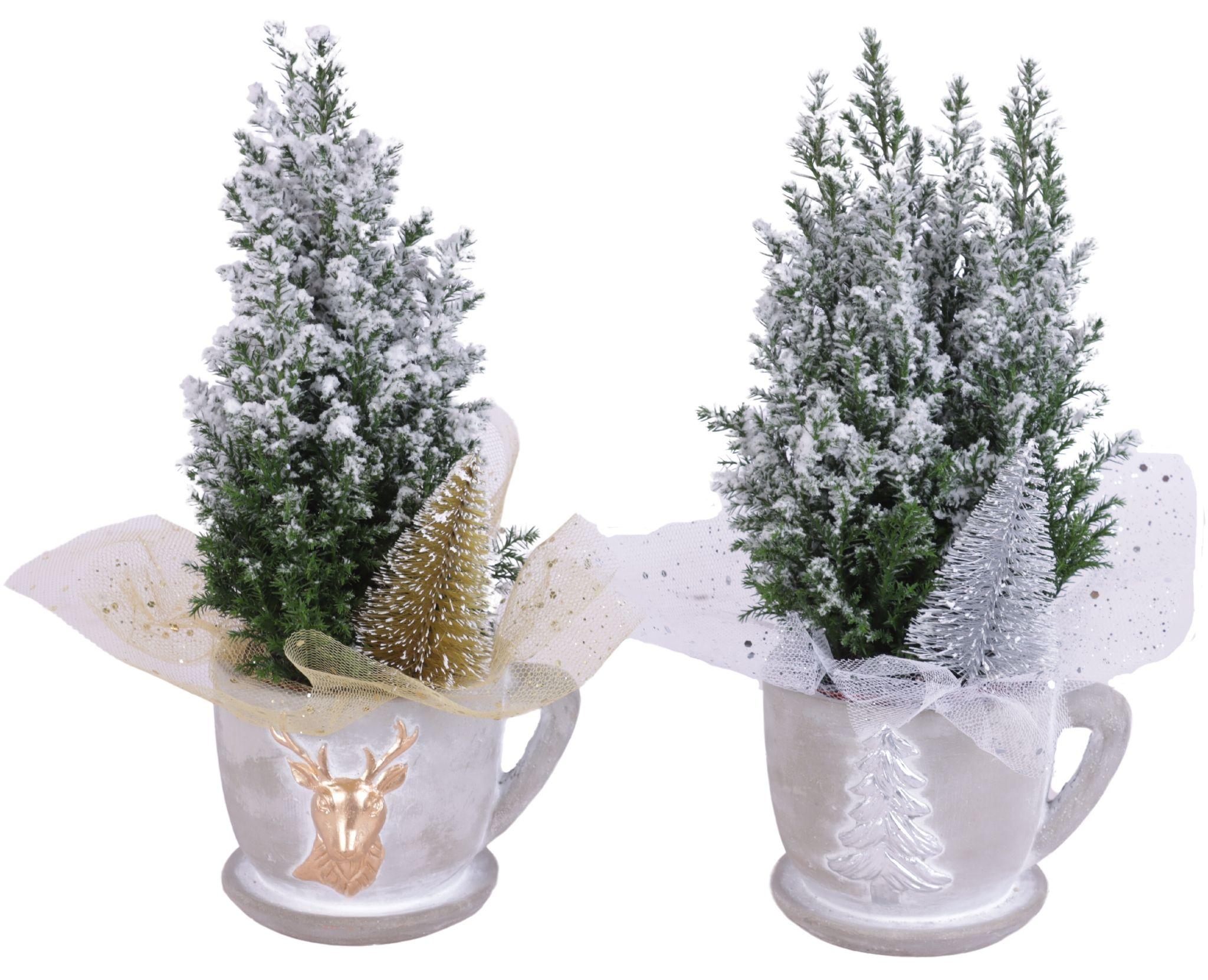 Горшечные цветы и растения оптом Christmas Arr. Outdoor Ceramic Pot Cup And Saucer от 10шт из Голландии с доставкой по России