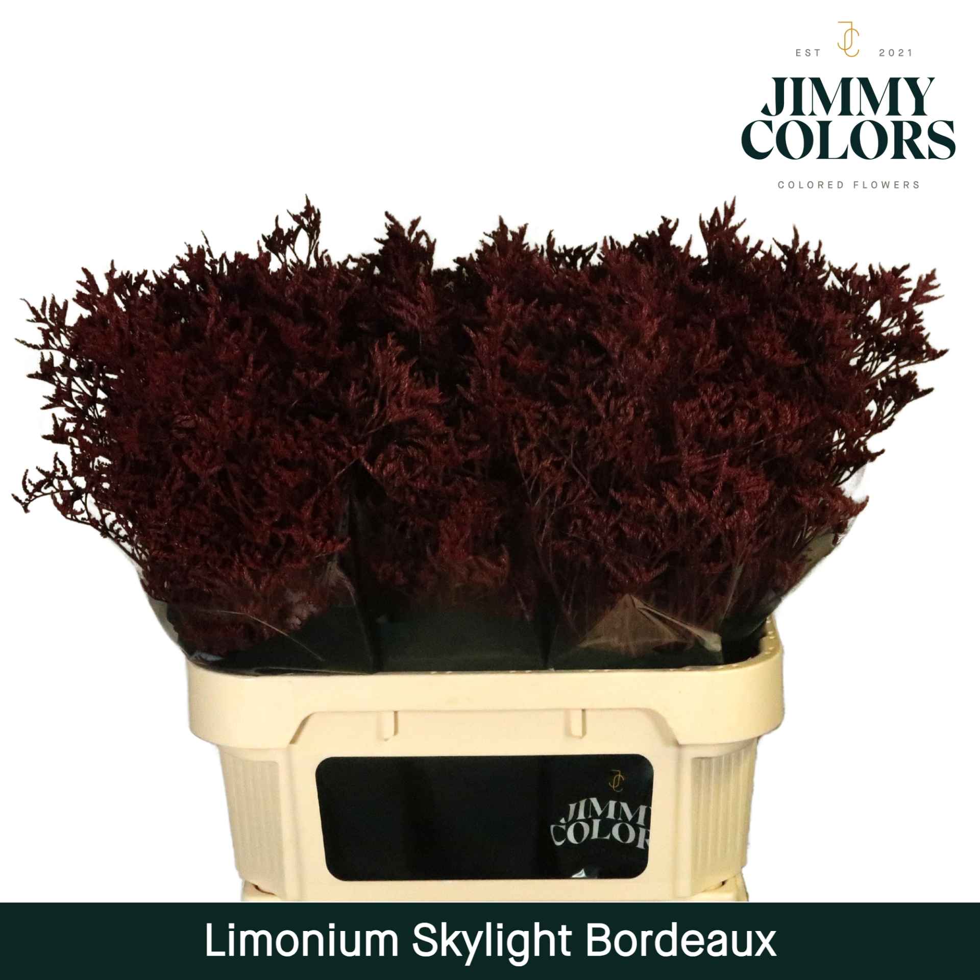 Срезанные цветы оптом Limonium paint bordeaux от 75шт из Голландии с доставкой по России