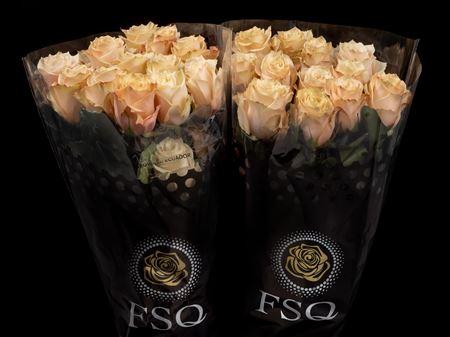 Срезанные цветы оптом Rosa ec champagner от 40шт из Голландии с доставкой по России