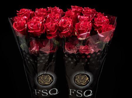 Срезанные цветы оптом Rosa ec pink puma от 20шт из Голландии с доставкой по России