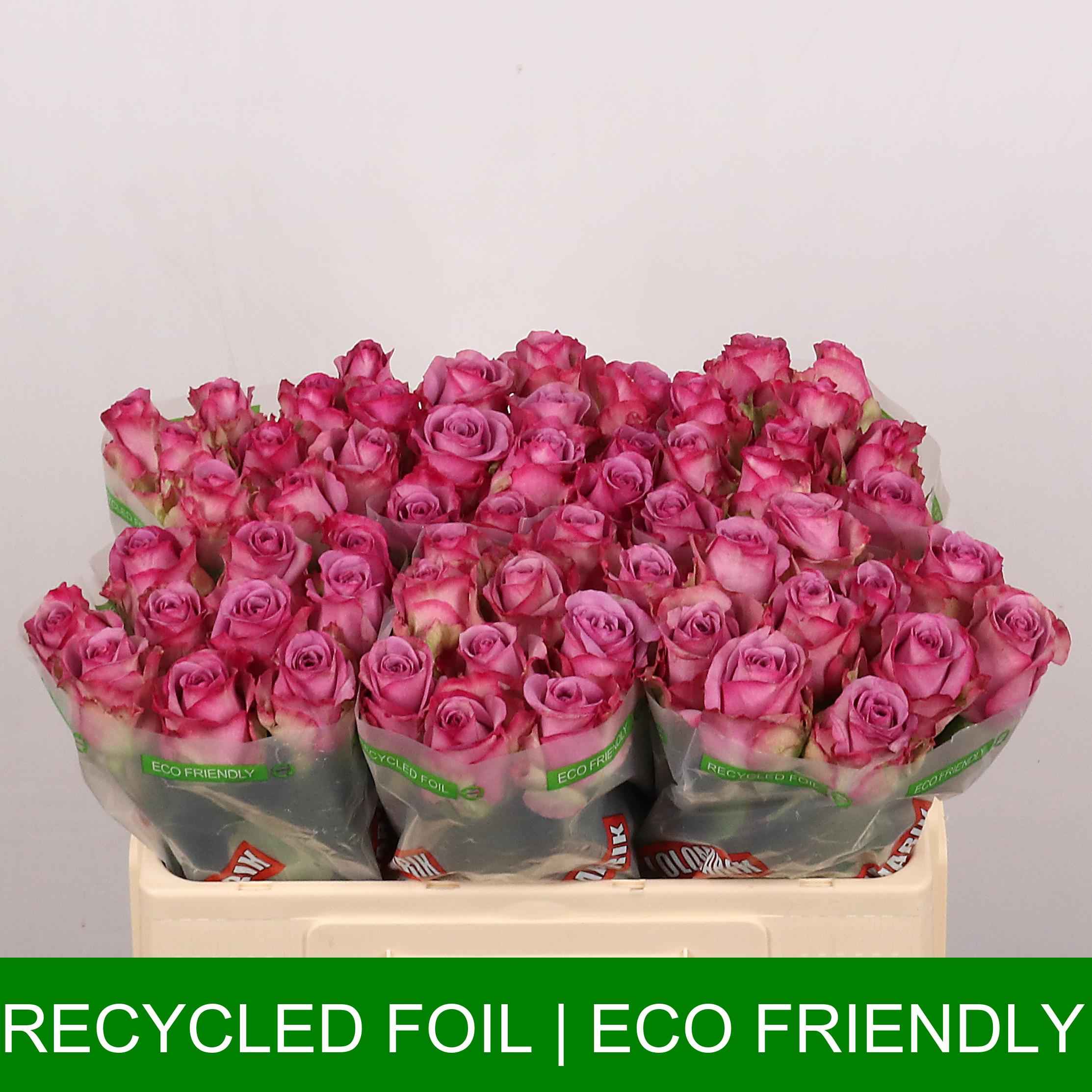 Срезанные цветы оптом Rosa la cool water! от 60шт из Голландии с доставкой по России