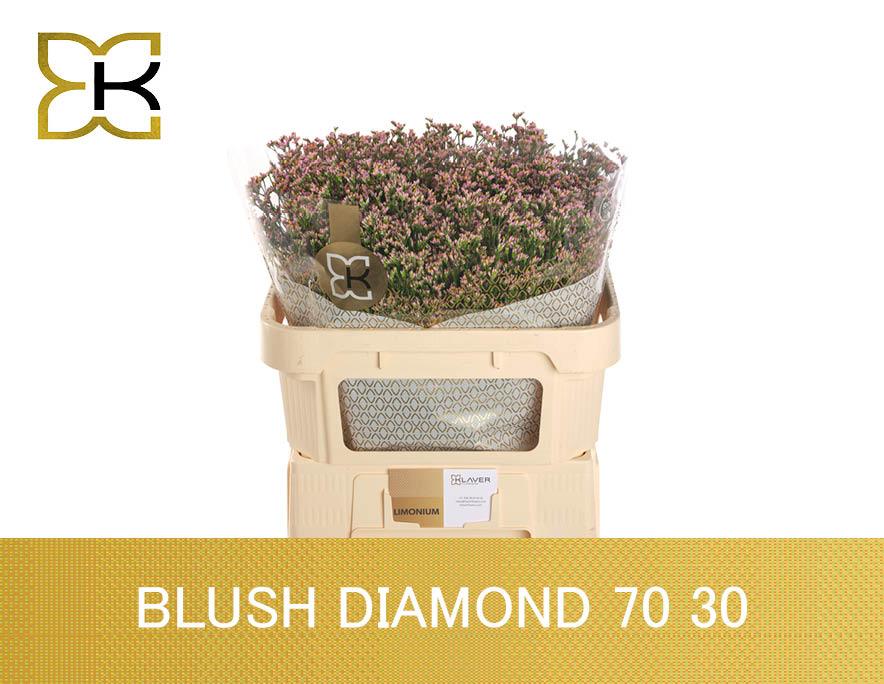 Срезанные цветы оптом Limonium blush diamond от 50шт.. из Голландии с доставкой по России