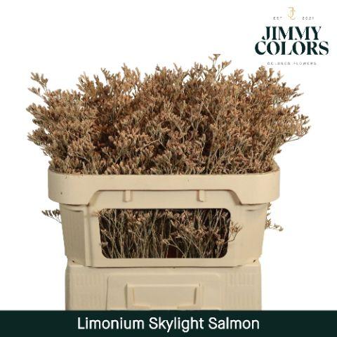 Срезанные цветы оптом Limonium paint salmon от 50шт из Голландии с доставкой по России