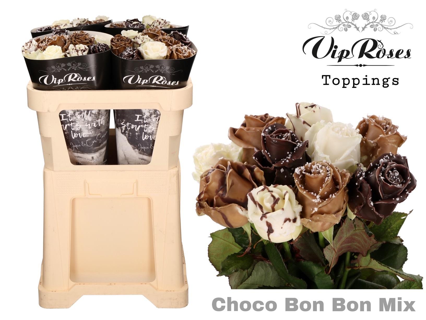 Срезанные цветы оптом Rosa large paint choco bonbon mix от 40шт из Голландии с доставкой по России