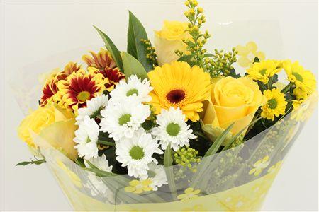 Срезанные цветы оптом Bouquet rosa small yellow от 10шт из Голландии с доставкой по России