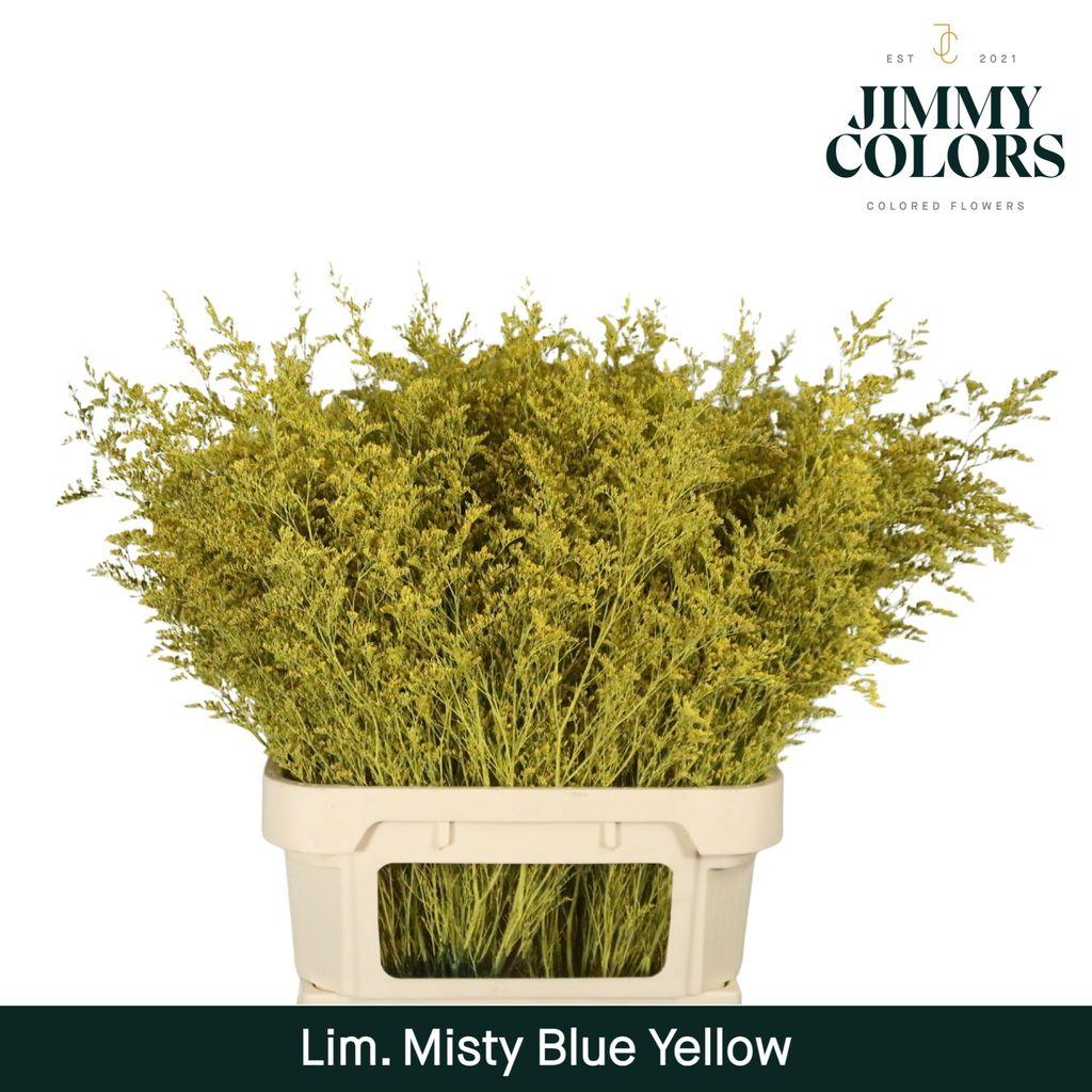 Срезанные цветы оптом Limonium misty blue paint yellow от 50шт из Голландии с доставкой по России
