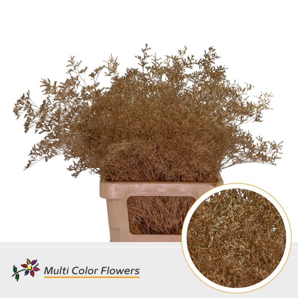 Срезанные цветы оптом Limonium beltlaard paint antique от 25шт из Голландии с доставкой по России