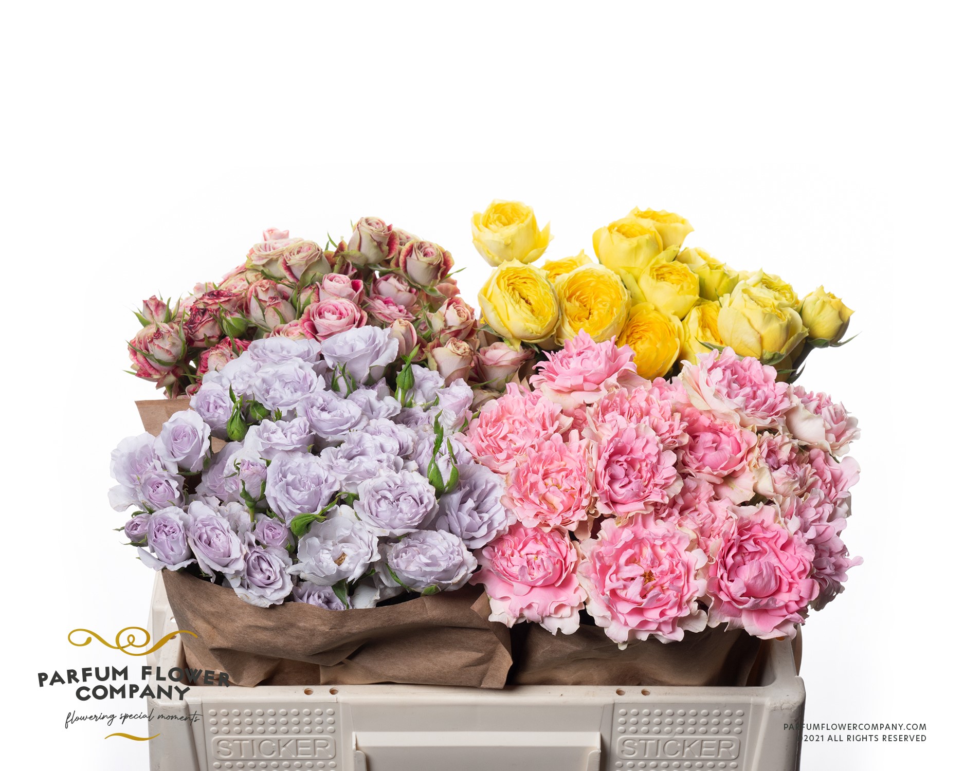 Срезанные цветы оптом Rosa spray garden mix in bucket от 48шт. из Голландии с доставкой по России