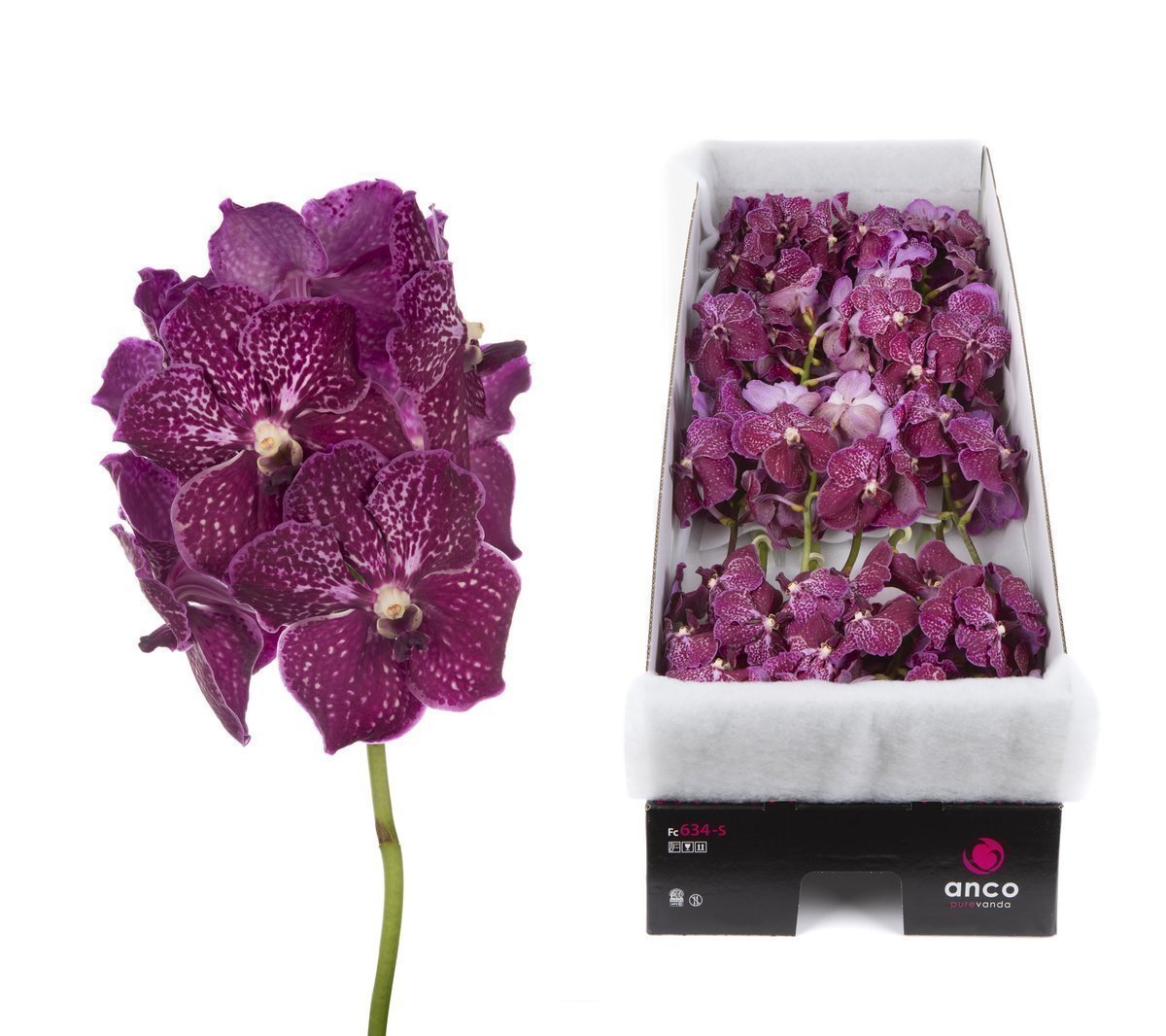 Срезанные цветы оптом Vanda ruby love per stem от 8шт. из Голландии с доставкой по России