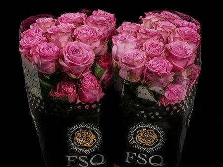 Срезанные цветы оптом Rosa ec queens crown от 40шт из Голландии с доставкой по России