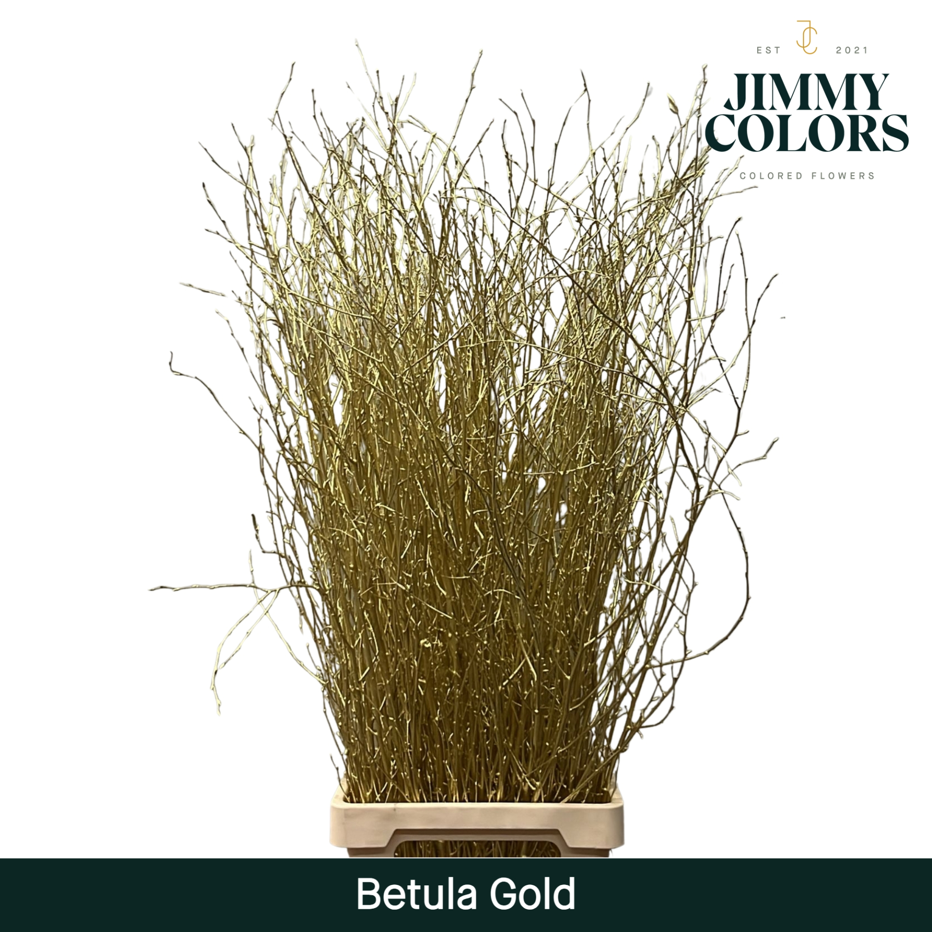 Срезанные цветы оптом Betula paint gold от 10шт из Голландии с доставкой по России