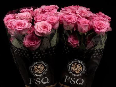 Срезанные цветы оптом Rosa garden ashley pink от 24шт из Голландии с доставкой по России