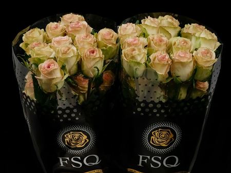 Срезанные цветы оптом Rosa ec sweet elegance от 40шт из Голландии с доставкой по России