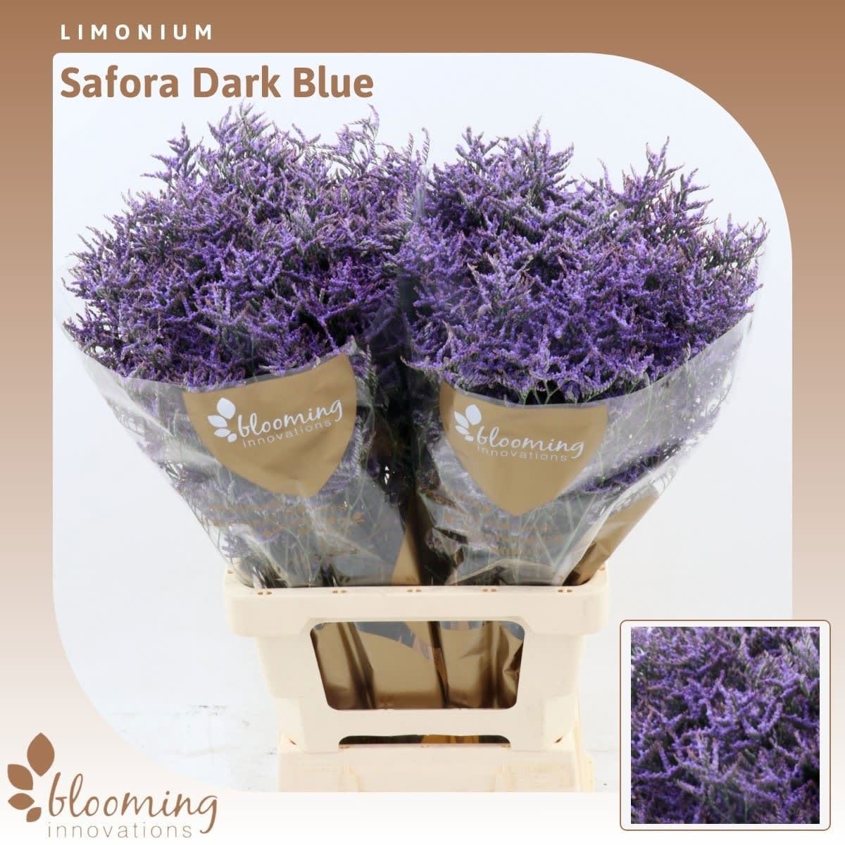 Срезанные цветы оптом Limonium safora dark blue от 50шт из Голландии с доставкой по России
