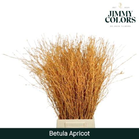 Срезанные цветы оптом Betula paint apricot от 10шт из Голландии с доставкой по России