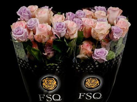 Срезанные цветы оптом Rosa ec mix lavander от 40шт из Голландии с доставкой по России