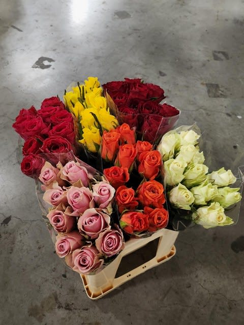 Срезанные цветы оптом Rosa large mix in bucket от 60шт из Голландии с доставкой по России