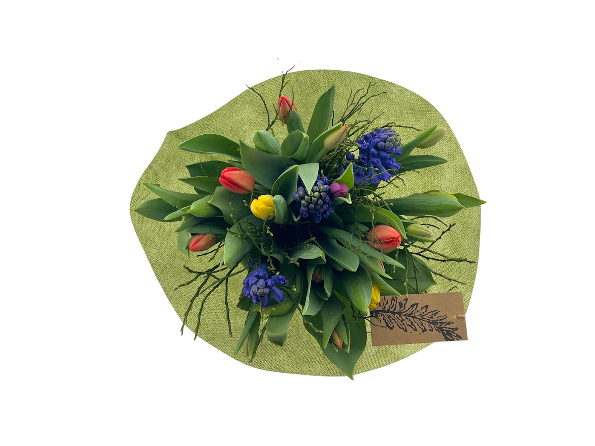 Срезанные цветы оптом BQ Tulip XL Deluxe от 2шт из Голландии с доставкой по России