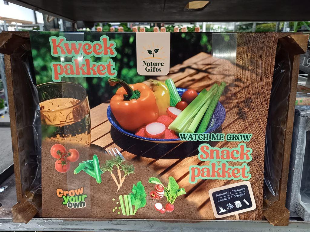 Горшечные цветы и растения оптом Tuinkruiden   ... от 1шт из Голландии с доставкой по России