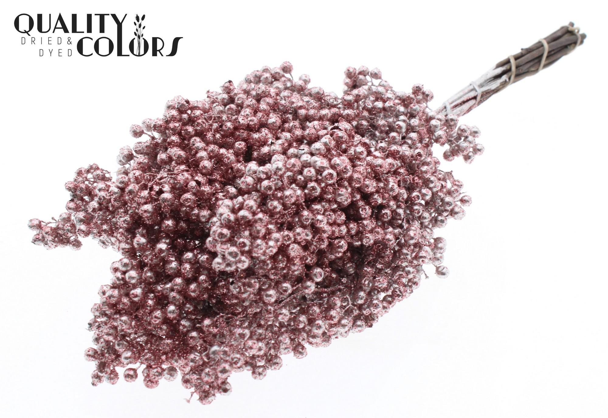 Срезанные цветы оптом Pepperberries per bunch in poly Champagne + Glitte от 5шт из Голландии с доставкой по России