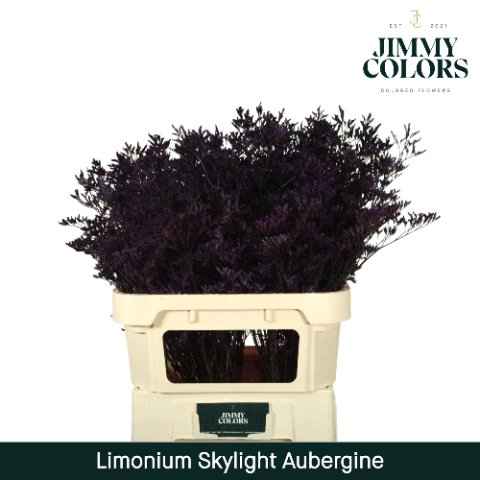 Срезанные цветы оптом Limonium skylight paint aubergine от 75шт из Голландии с доставкой по России