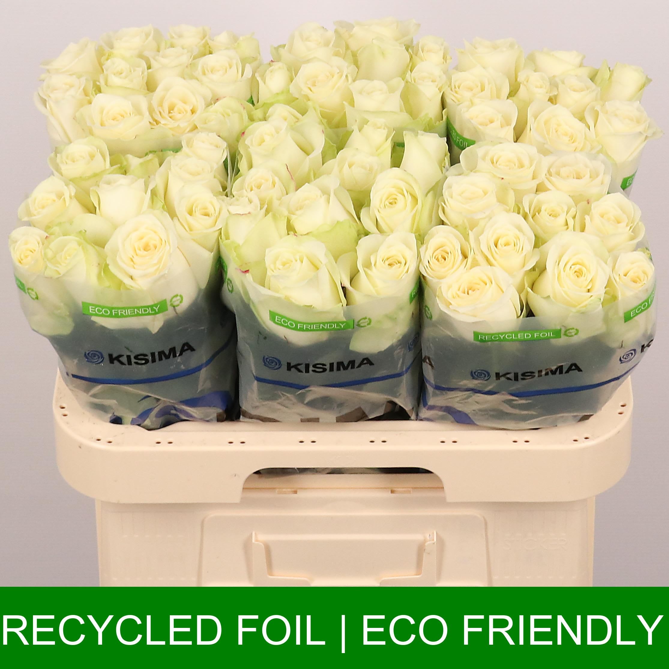 Срезанные цветы оптом Rosa large snowstorm+ от 60шт.. из Голландии с доставкой по России