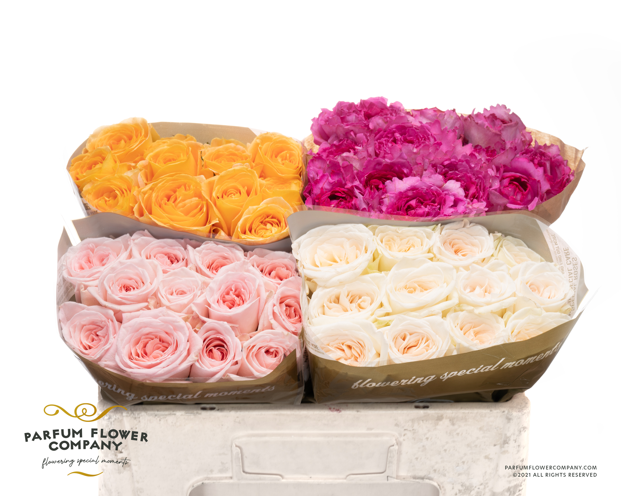 Срезанные цветы оптом Rosa garden mix tambuzi от 48шт из Голландии с доставкой по России