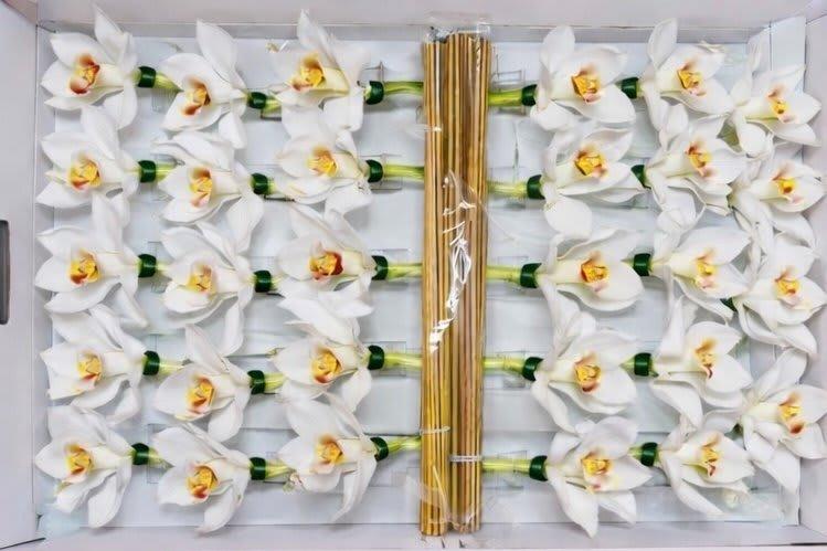 Срезанные цветы оптом Cymbidium stick white от 50шт из Голландии с доставкой по России