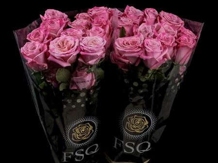Срезанные цветы оптом Rosa ec babaloo от 40шт из Голландии с доставкой по России