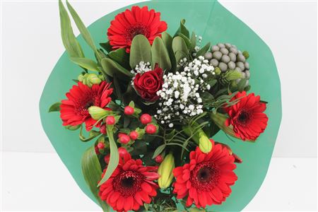 Срезанные цветы оптом Bouquet luna red от 3шт из Голландии с доставкой по России