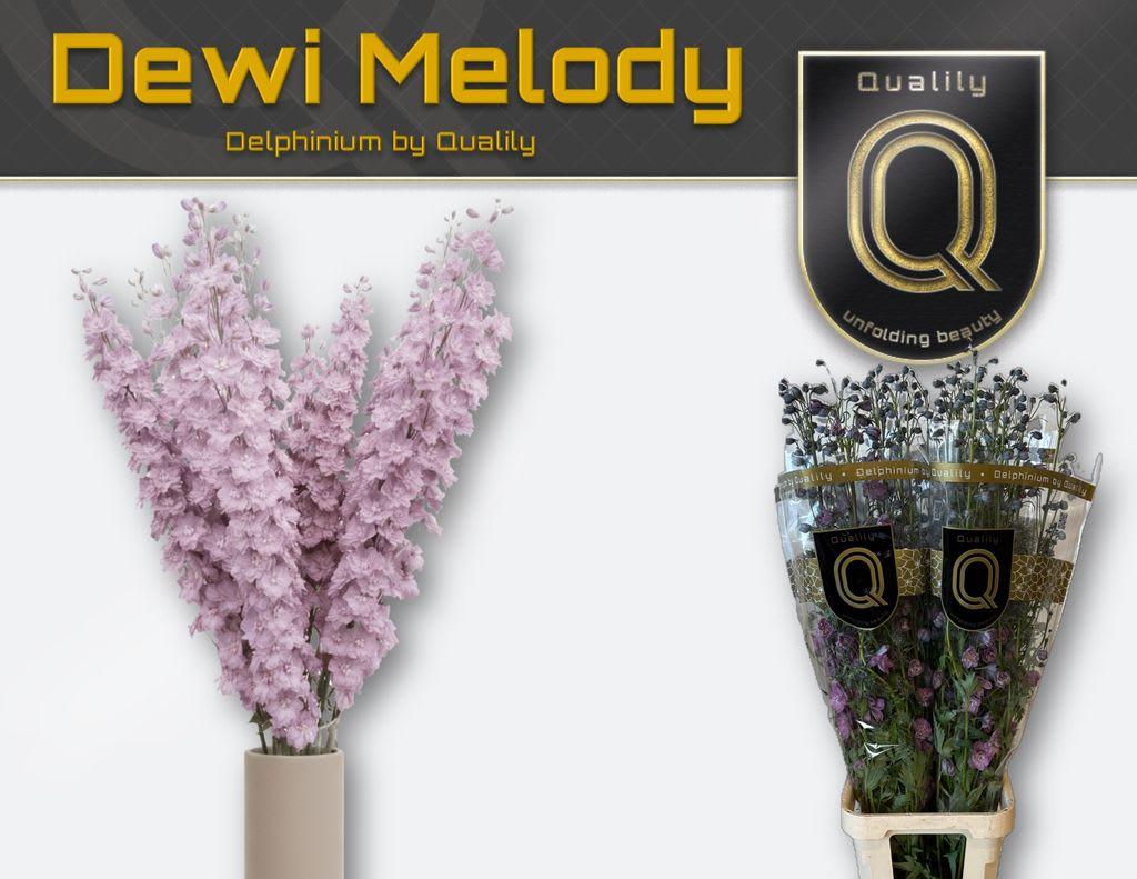 Срезанные цветы оптом Delphinium do el dewi melody от 20шт. из Голландии с доставкой по России