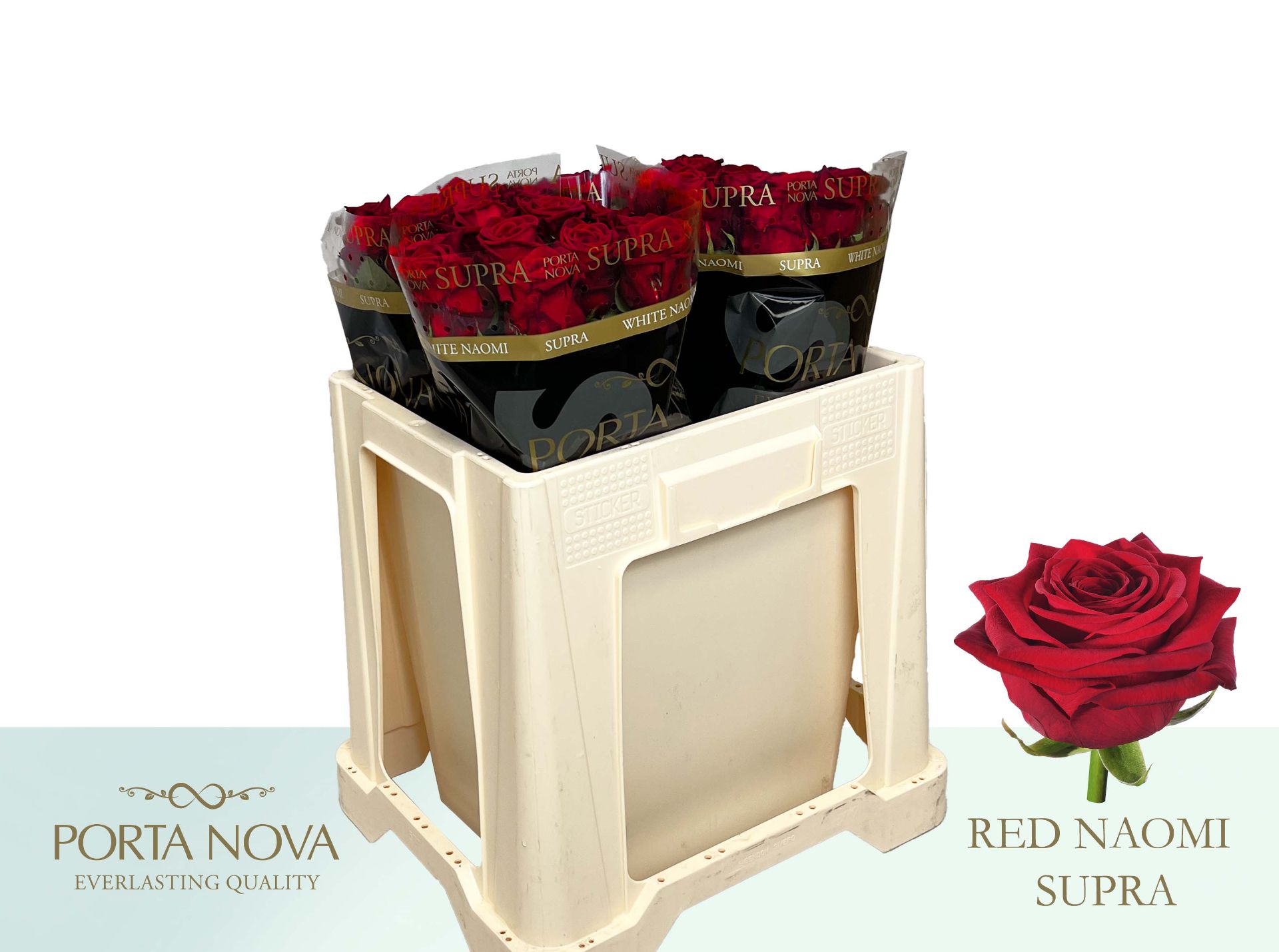 Срезанные цветы оптом Rosa large red naomi! Supra Porta Nova от 40шт из Голландии с доставкой по России