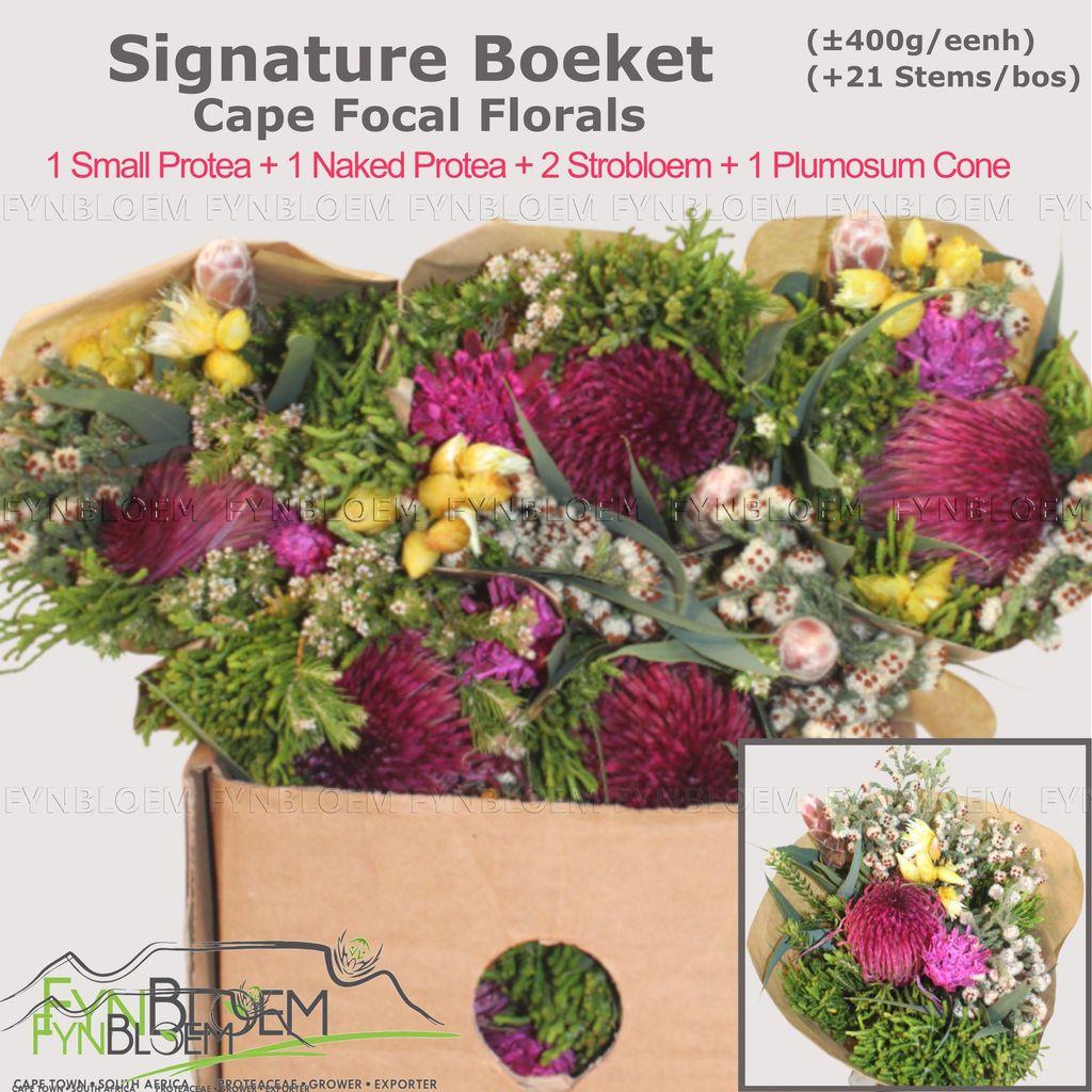 Срезанные цветы оптом Protea bq signature 1 small protea 1 naked protea от 8шт из Голландии с доставкой по России