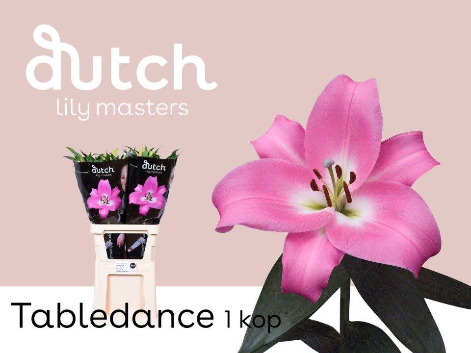 Срезанные цветы оптом Lilium or tabledance от 60шт из Голландии с доставкой по России