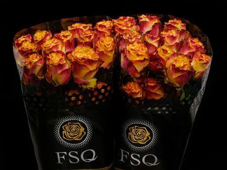 Срезанные цветы оптом Rosa ec news flash от 60шт из Голландии с доставкой по России