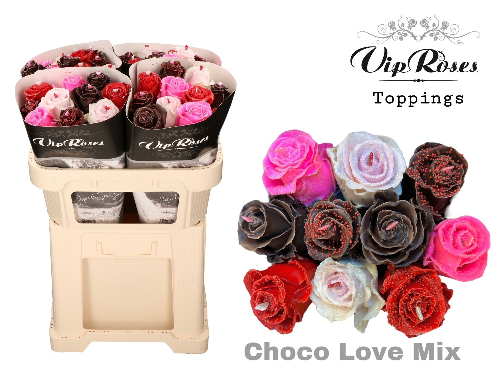 Срезанные цветы оптом Rosa large paint choco love mix от 40шт. из Голландии с доставкой по России