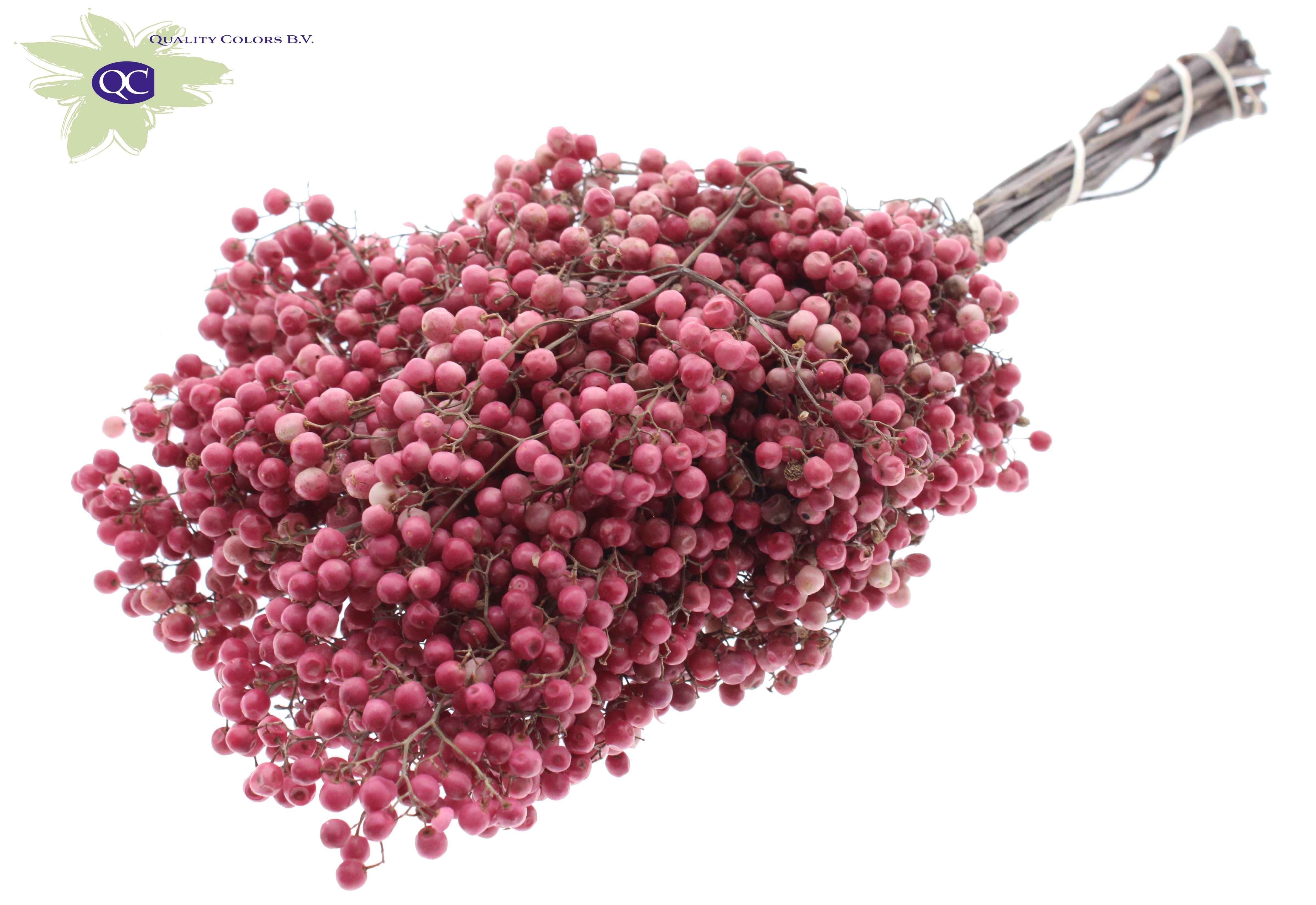 Срезанные цветы оптом Pepperberries per bunch in poly natural от 5шт из Голландии с доставкой по России