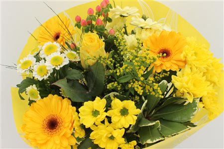 Срезанные цветы оптом Bouquet 15 stem yellow от 8шт из Голландии с доставкой по России