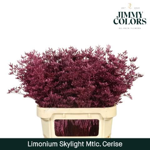 Срезанные цветы оптом Limonium paint metallic erica от 25шт из Голландии с доставкой по России