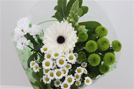Срезанные цветы оптом Bouquet 5-7 stem white от 10шт из Голландии с доставкой по России