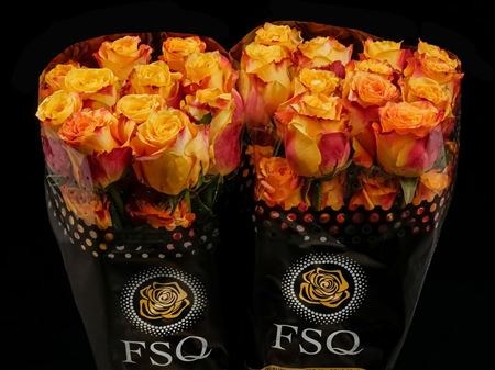 Срезанные цветы оптом Rosa ec silantoi от 40шт. из Голландии с доставкой по России