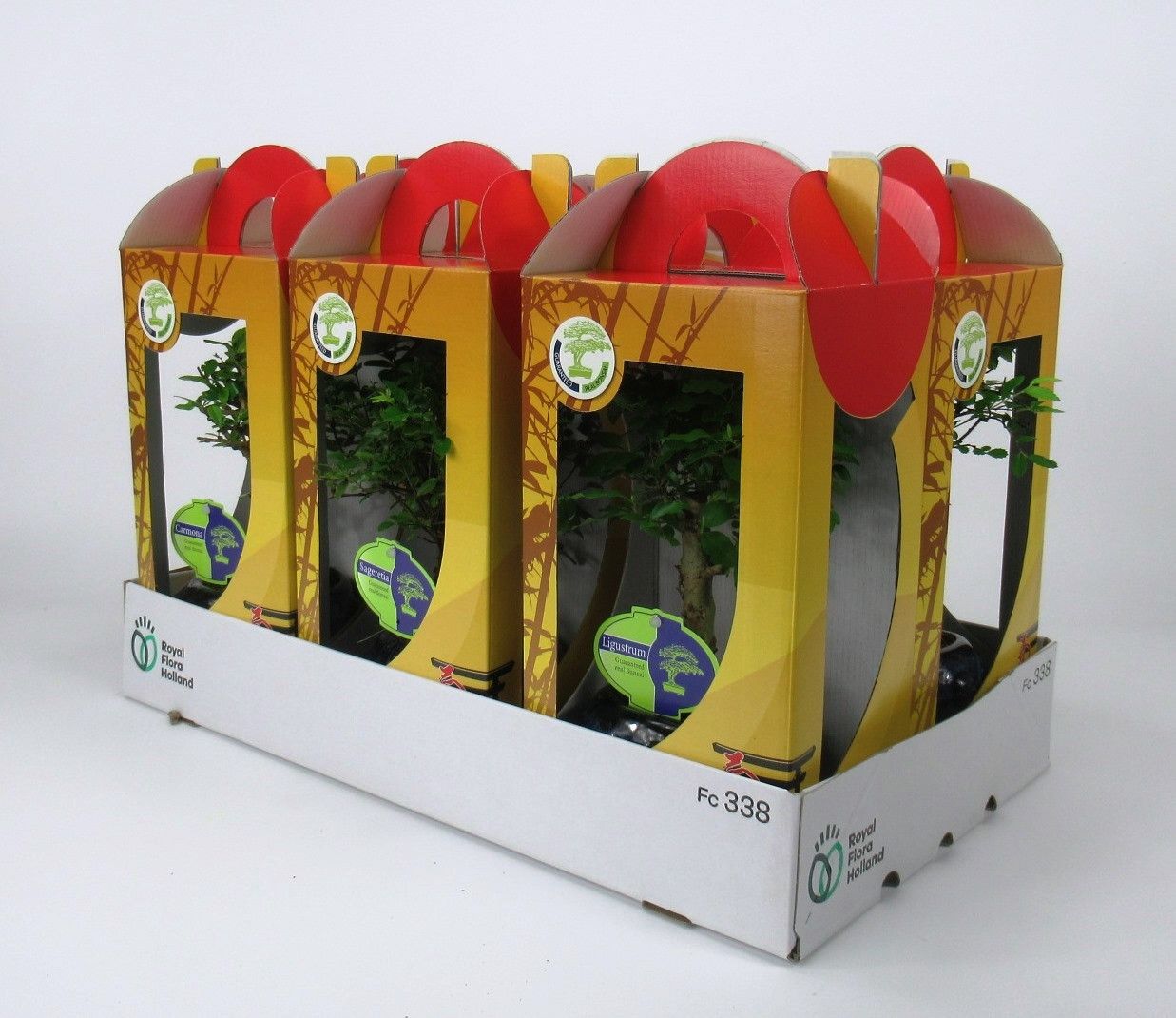 Горшечные цветы и растения оптом Bonsai Mix 13 Cm In Chinese Gift Box With Drip Tra от 7шт из Голландии с доставкой по России