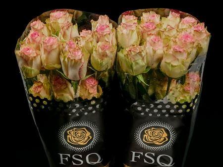 Срезанные цветы оптом Rosa ec esperance от 40шт из Голландии с доставкой по России