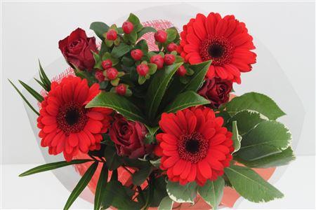 Срезанные цветы оптом Bouquet lisa red от 10шт из Голландии с доставкой по России