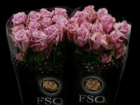 Срезанные цветы оптом Rosa ec avant garde от 40шт из Голландии с доставкой по России