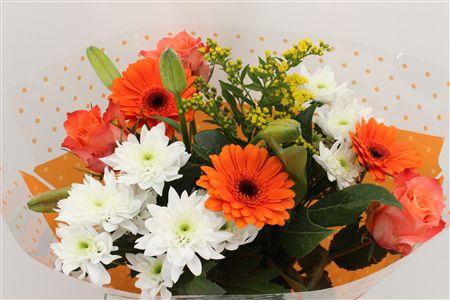 Срезанные цветы оптом Bouquet 3 rosa 3 germini orange от 5шт из Голландии с доставкой по России