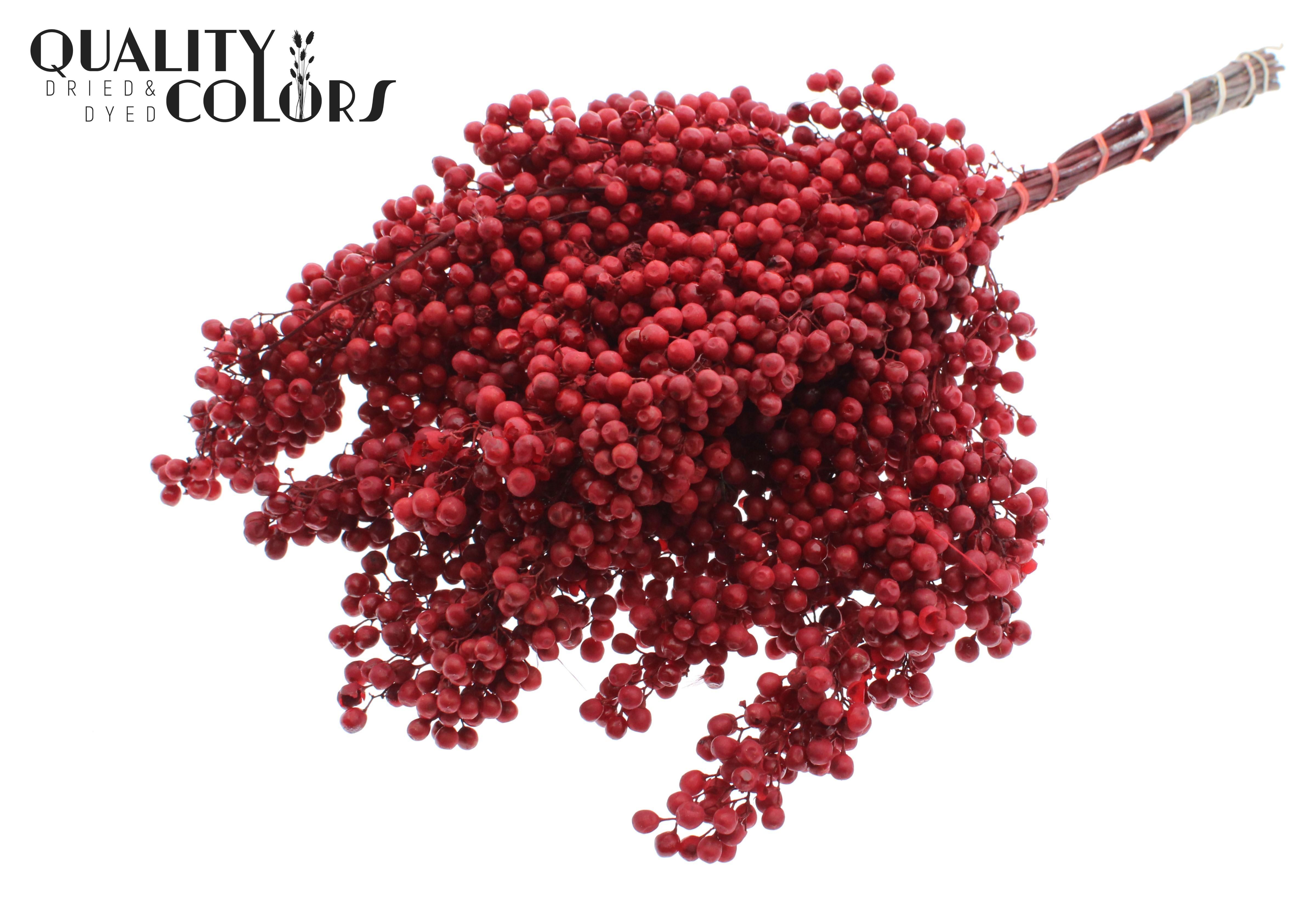 Срезанные цветы оптом Pepperberries per bunch in poly Red от 5шт из Голландии с доставкой по России