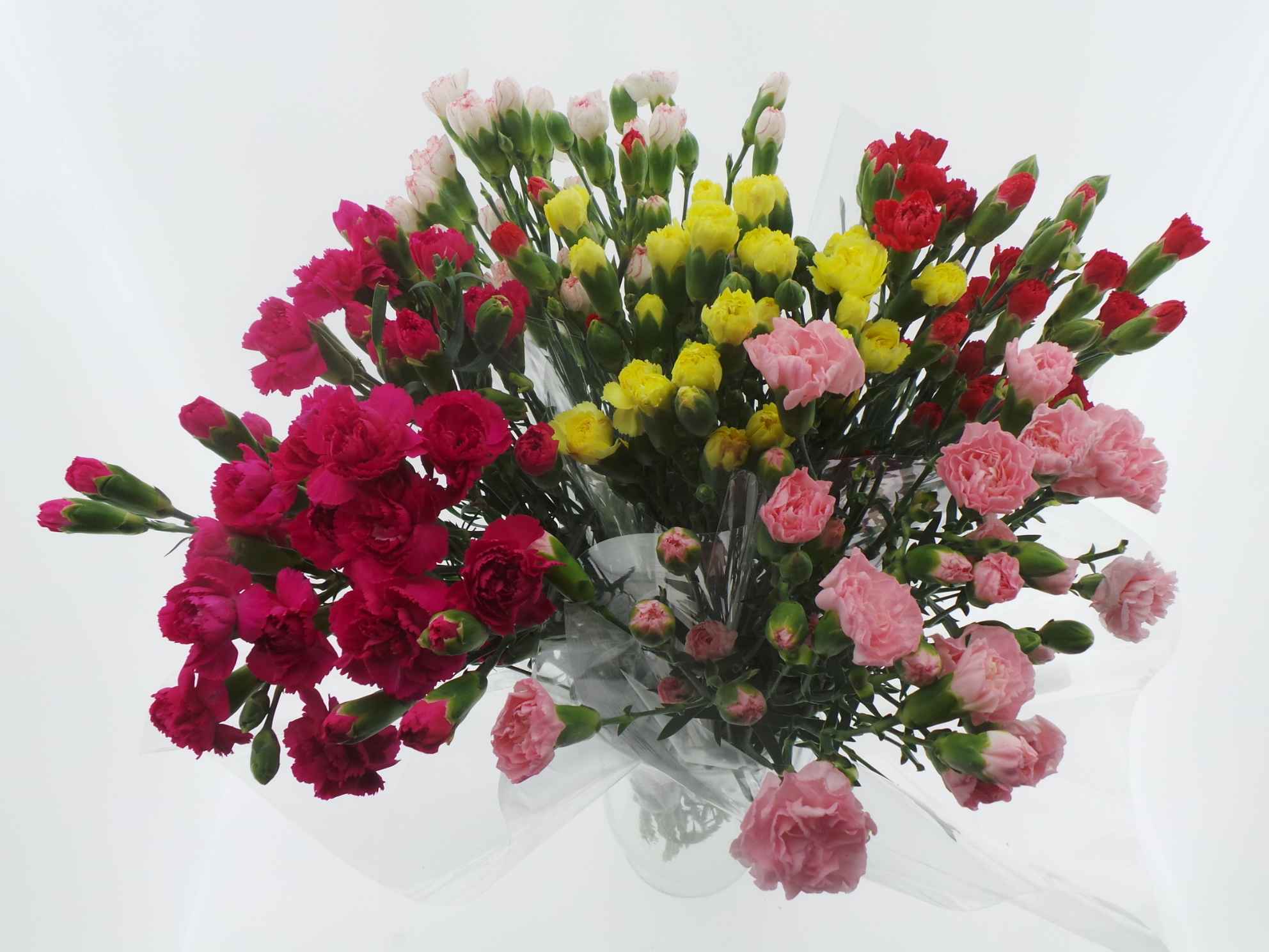 Срезанные цветы оптом Bouquet mono tros anjer x10 mix 50cm от 10шт из Голландии с доставкой по России